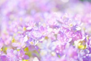 手相カウンセラーそらうみの自己紹介と手相鑑定につきまして